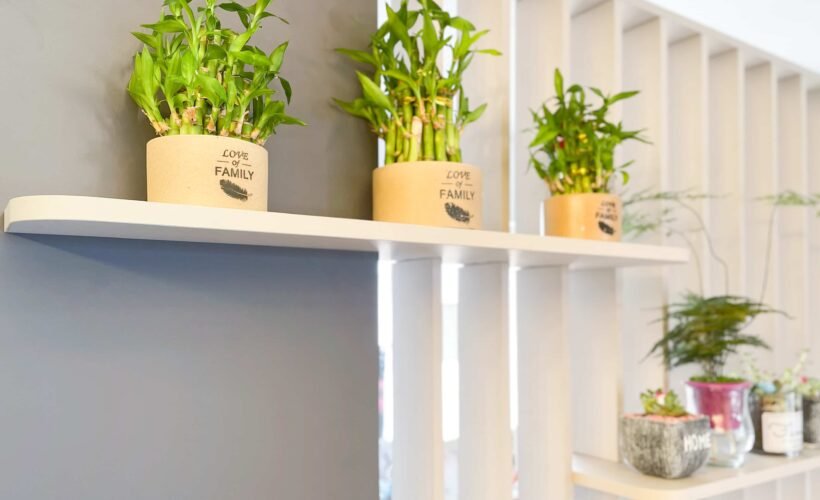 青山公路-青龍頭-豪景花園-裝修案例展示